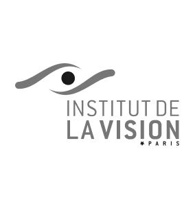 institut_de_la_vision.png