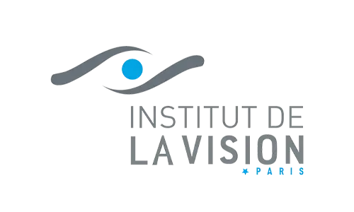 logo_institutdelavision.png
